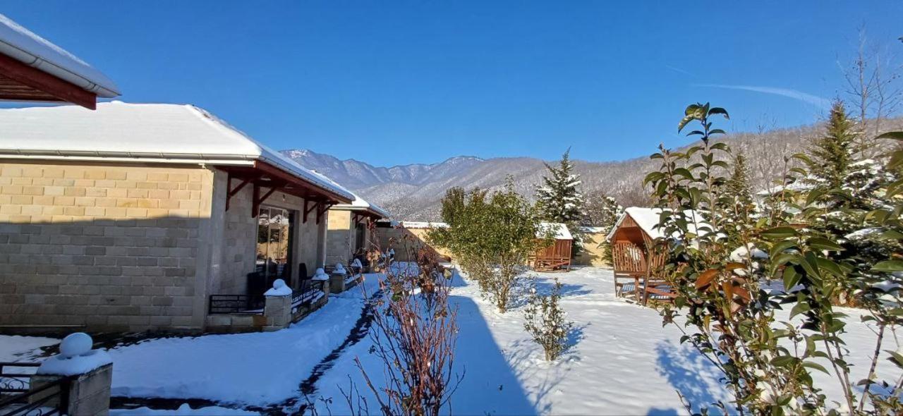 Gabala Bliss Inn Hotel And Restaurant Extérieur photo
